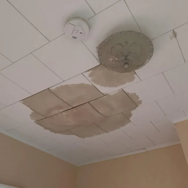 Ceiling Water Damage Repair in Camp County, TX