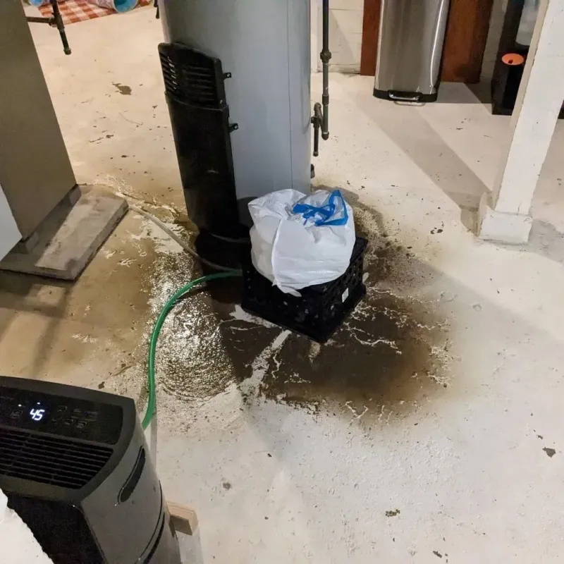 Sewage Backup Cleanup Service in Camp County, TX